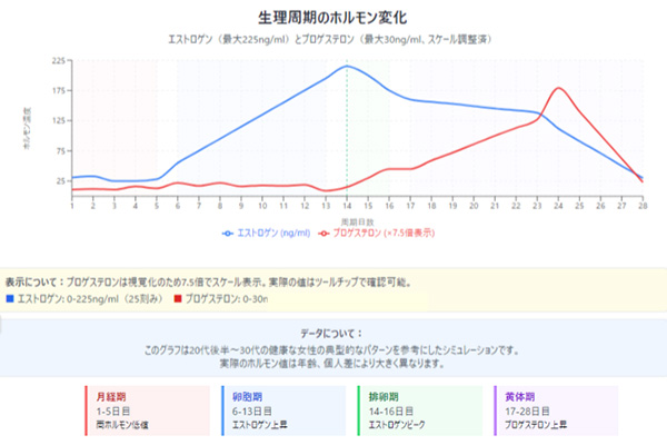 生理周期のホルモン変化