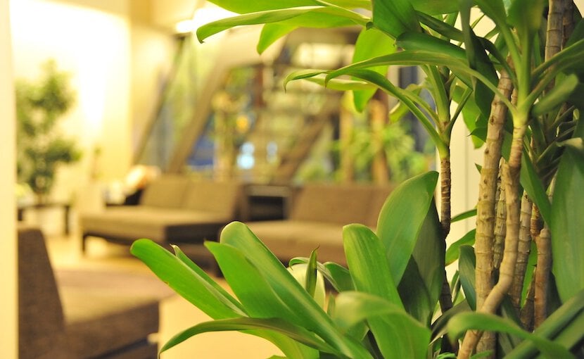 過多月経、月経困難症の新しい治療法