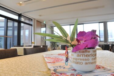 妊娠初期の家族・家庭環境とは？ – エコチル調査から見えてきた実態