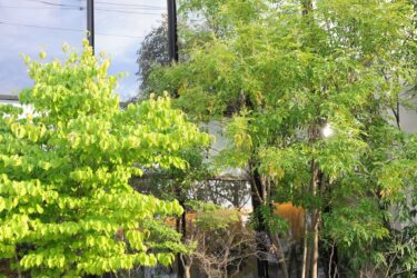 妊娠中期の過ごし方 〜住環境と生活のポイント〜