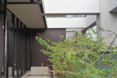 妊娠中の働き方改革！労働時間と職場環境の最新データ