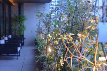 女性特有の病気を知る：早期発見と予防の重要性