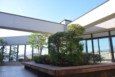 知っておきたい妊娠の仕組みと計画の立て方