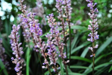 【要注意！】更年期を放置すると将来の家計に大打撃？具体的なリスクを解説