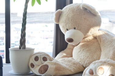 専門医が伝授！働く女性が自分らしく輝くための「こころと体の整え方」総まとめ