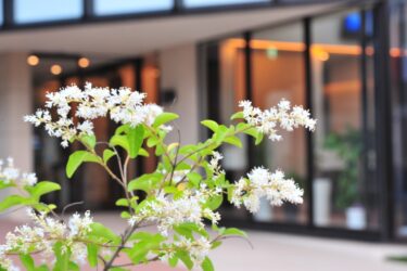 その孤独感、放置は危険！コロナ禍以降、女性の心と体に起きている“静かな異変”とは？