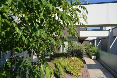 ダイエットが引き金に？「やせたい」から始まる摂食障害と、誰でも陥る”依存症ループ”の恐怖