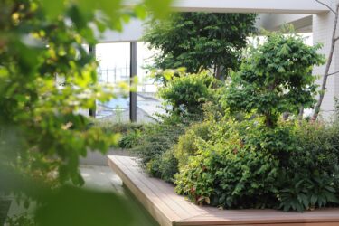 【新シリーズ始動】なぜ今、メンタル不調の女性がこれほど多いのか？全ての日本女性に伝えたい、心と体の新常識