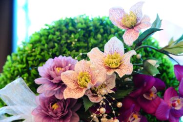 【働く女性の新常識】令和の働き方は「知識」が武器。会社の規模に左右されずに自分を守る方法