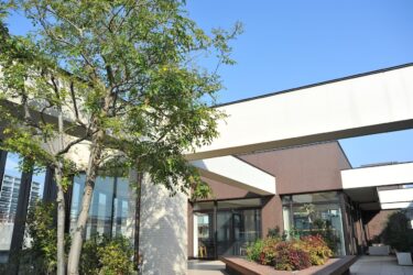 赤ちゃんの将来は「妊娠中からの100か月」で決まる。知っておきたい愛着形成と、ママを支える社会の仕組み