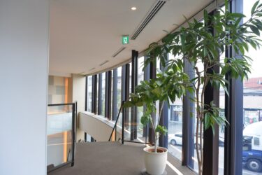 【知らなきゃ大損】パート・アルバイト女性必見！有給・休憩・労災の「本当のルール」をズバリ解説